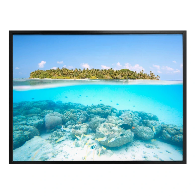 Poster Colombo - Unterwasserwelt der Malediven 