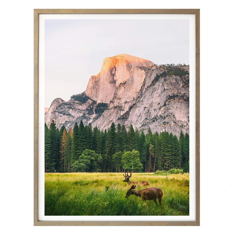 Poster Deers in the Mountains 