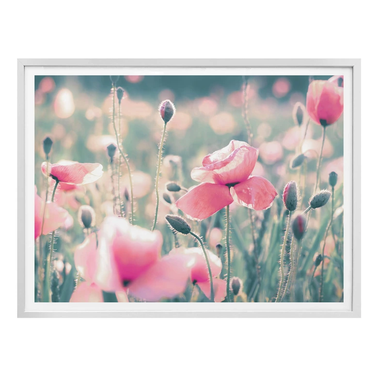 Póster Delgado - Momentos flor de amapola 