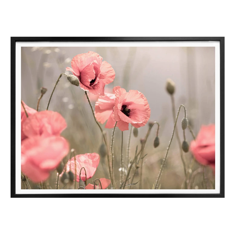 Poster Delgado - Bloemenromantiek 