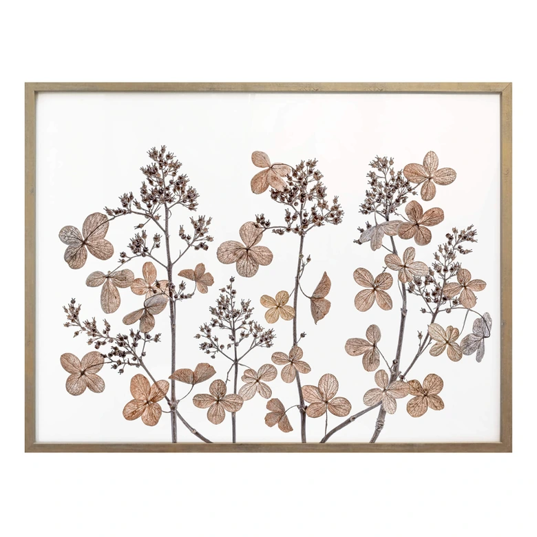 Poster Disher - Flores secas 