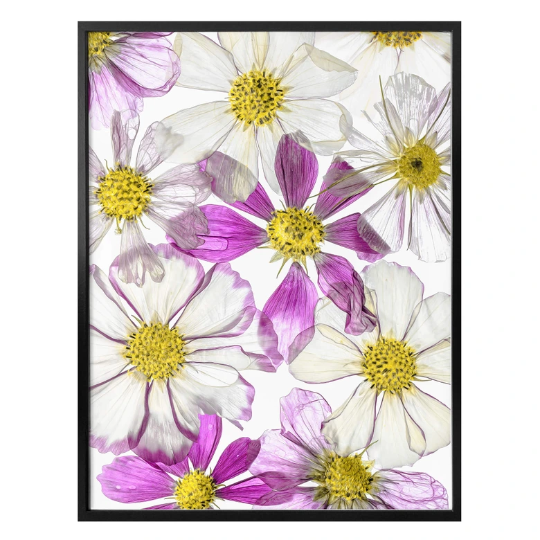 Poster Disher - Keeping Summer 