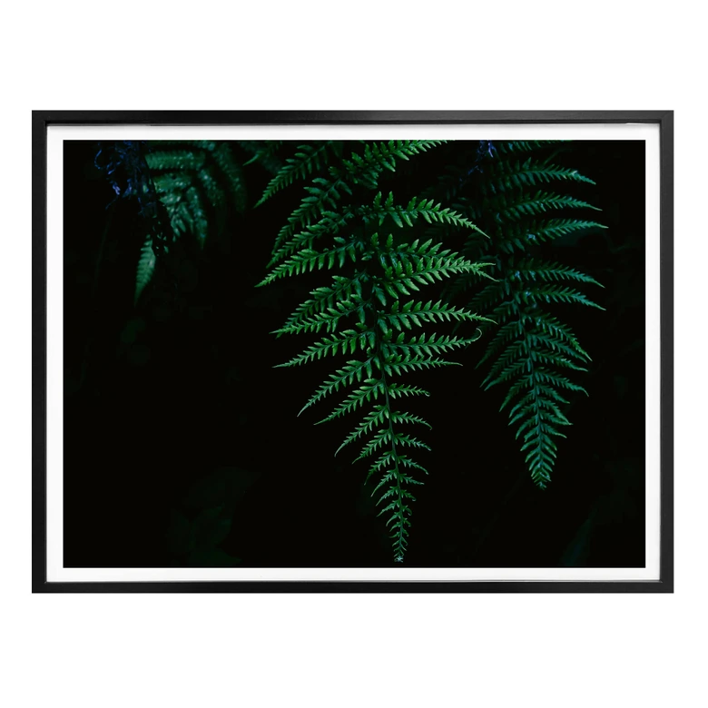 Poster Farn 03 
