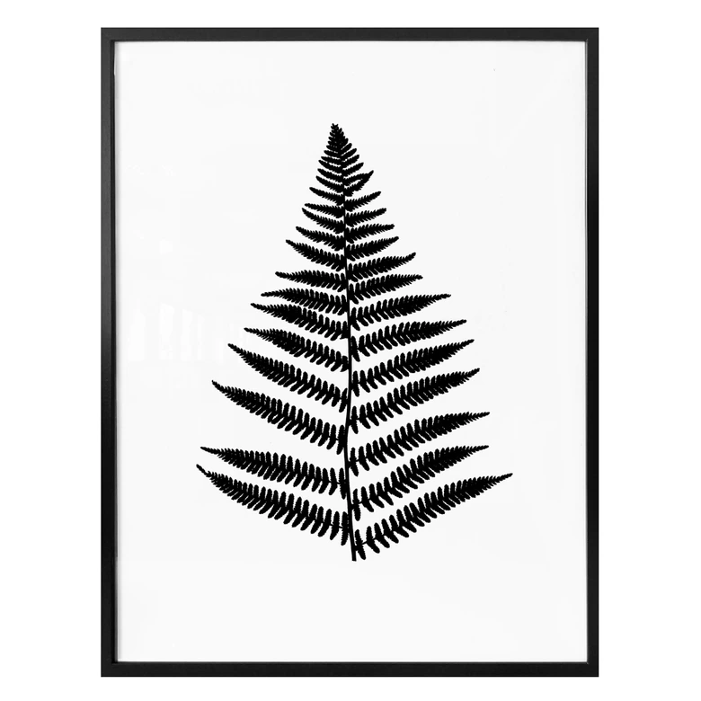 Poster Farn 