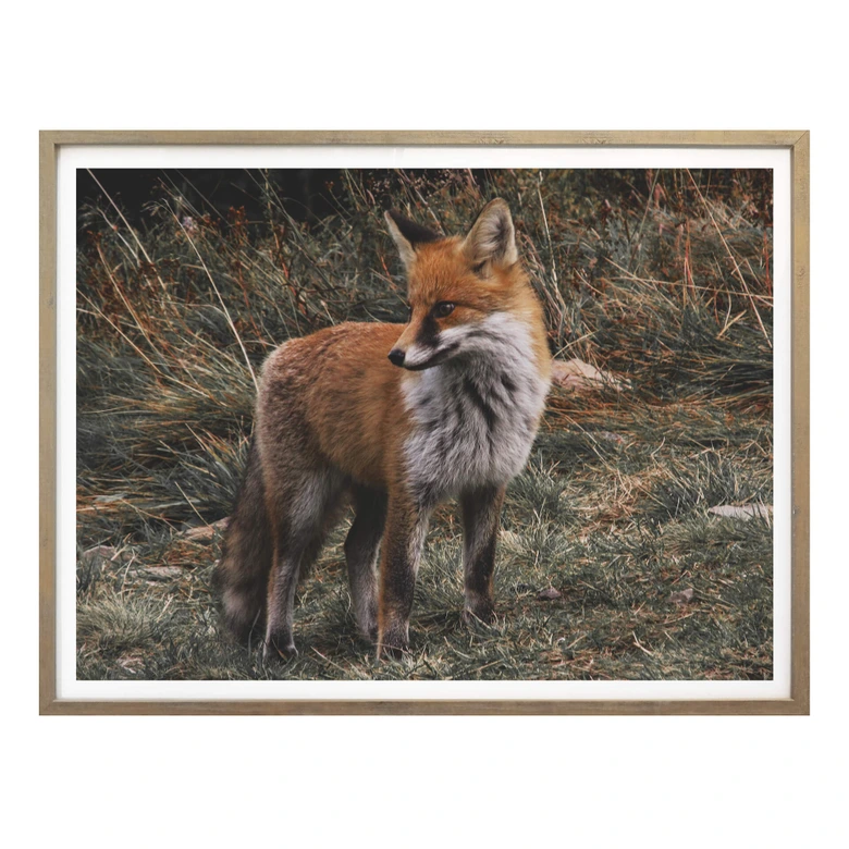 Poster - Fuchs 02 