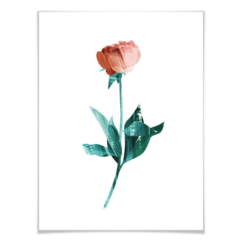 Poster Goed Blauw - La rose 