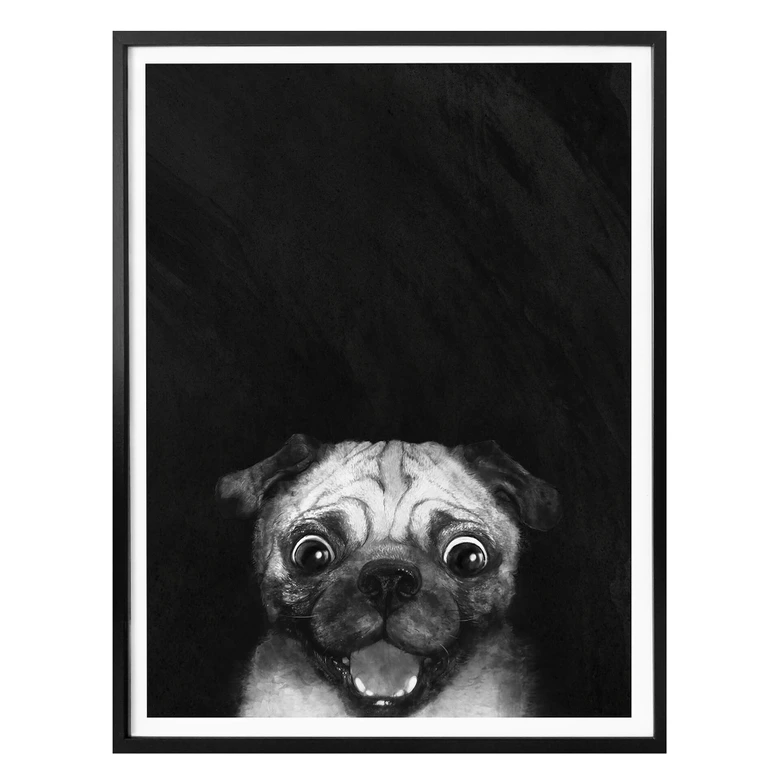 Poster Graves - Snuggle Pug 
