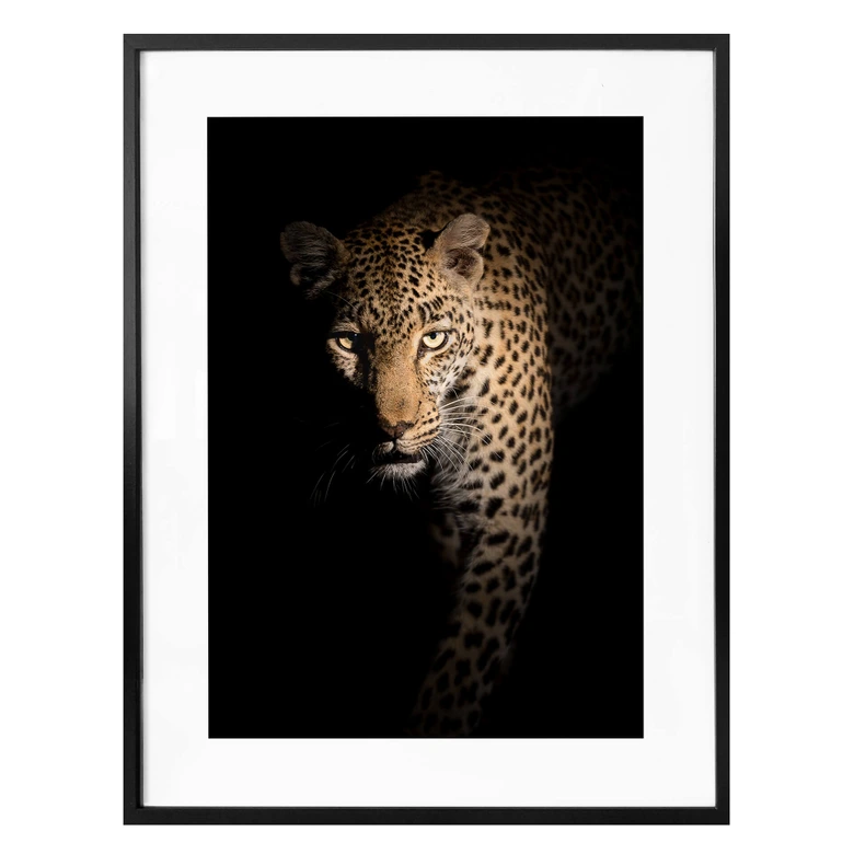 Poster Guijt - Der Leopard 