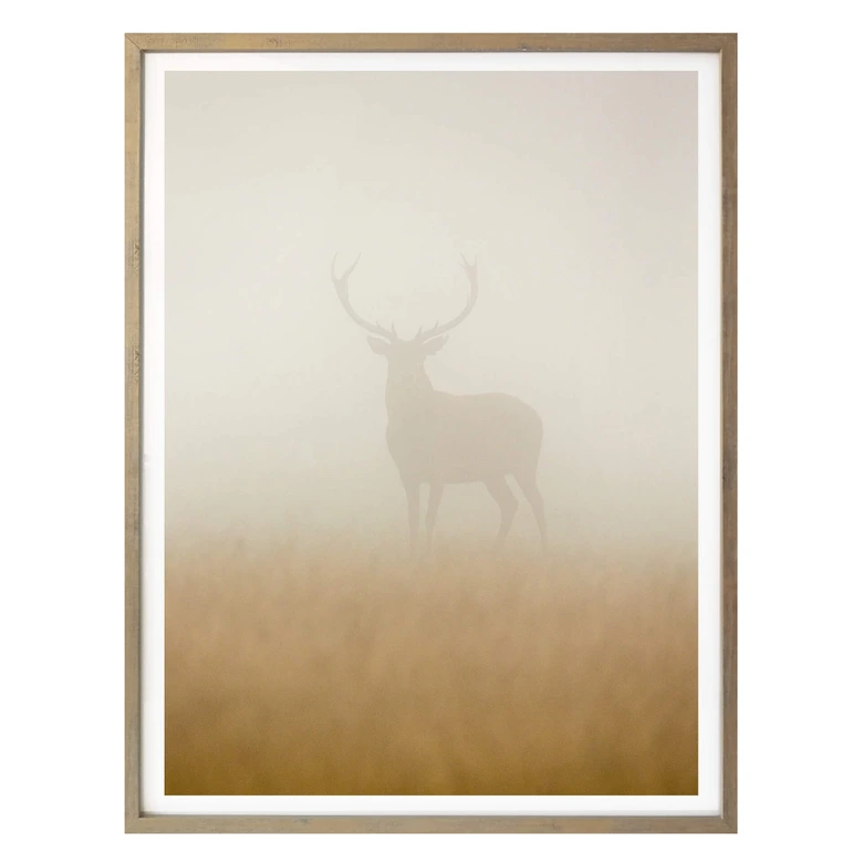 Poster Harling - Hirsch im Nebel 
