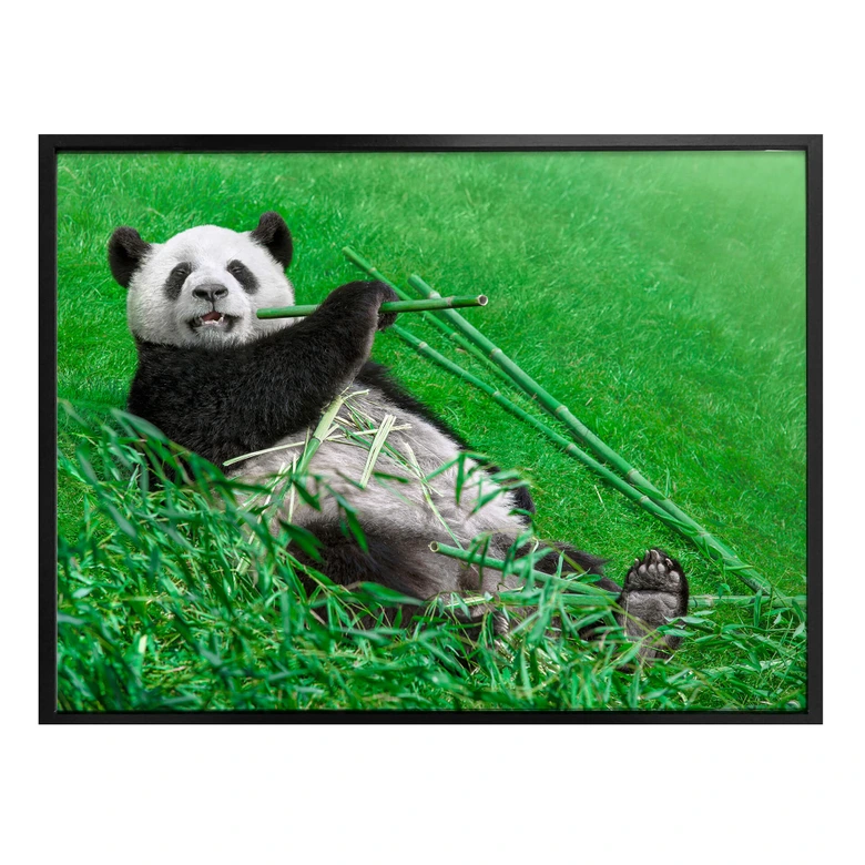 Poster Ben Heine - Glücklicher Panda 