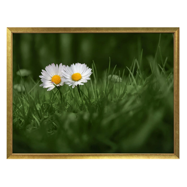 Poster Ben Heine - Zwei Gänseblümchen 