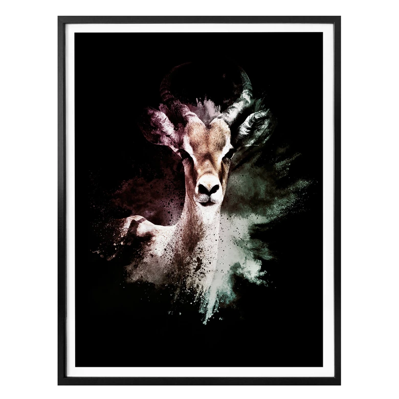 Poster Hugonnard - Wild Explosion: Antilope 