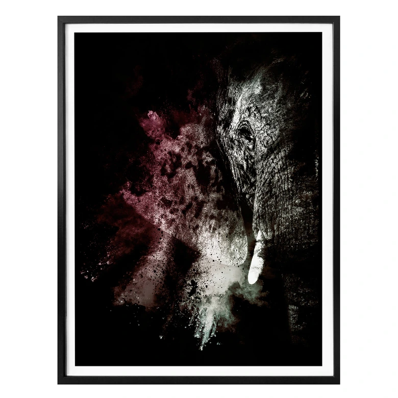 Poster Hugonnard - Wild Explosion: Elefant 02 