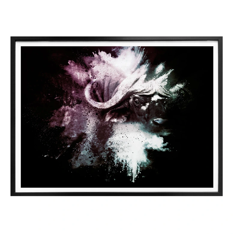 Poster Hugonnard - Wild Explosion: Wasserbüffel 
