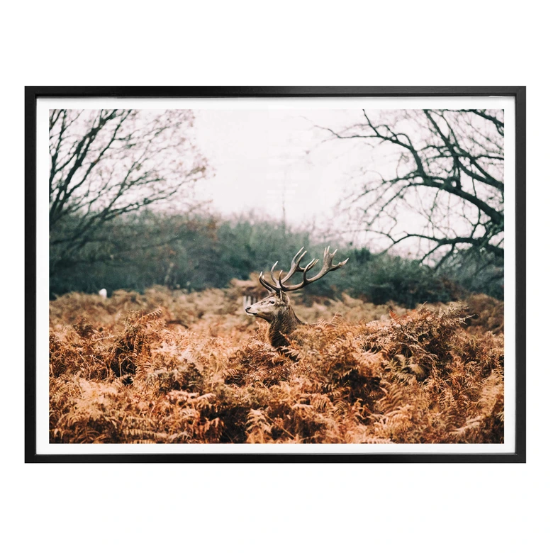 Poster Im Wald 