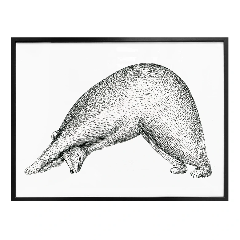 Poster Kvilis - Ours Yoga 01 