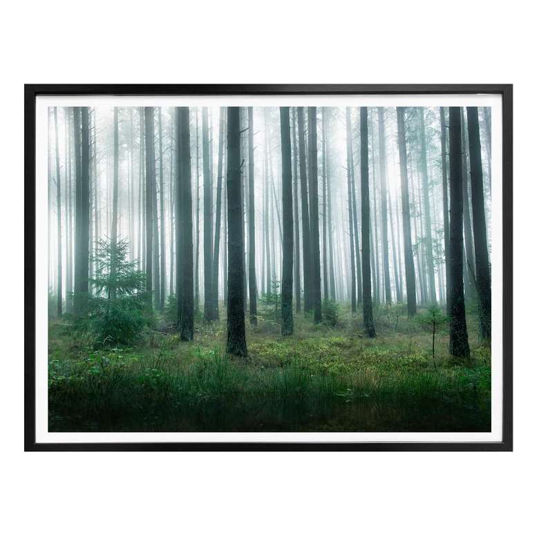 Poster Lindsten - Im Wald 