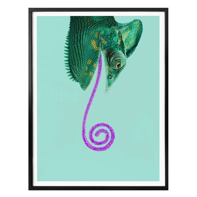 Poster Loose - Candy Chameleon 
