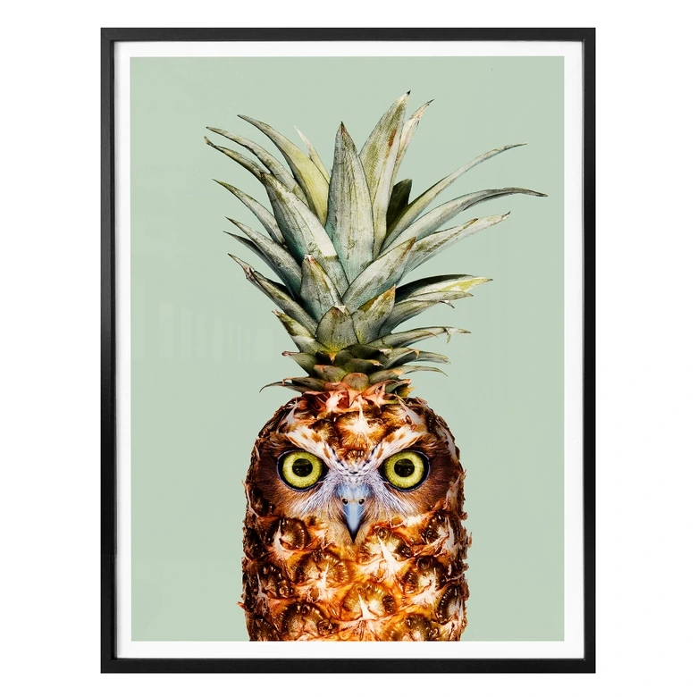 Poster Loose - Ananaseule 