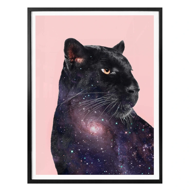 Poster Loose – Galaxy Panther 