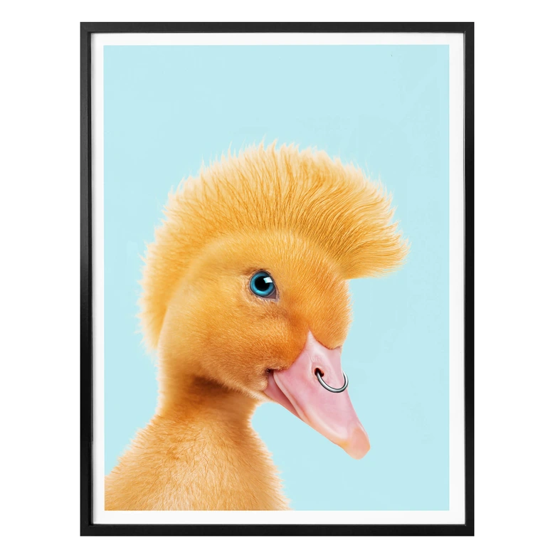 Poster Loose - Canard rebelle 
