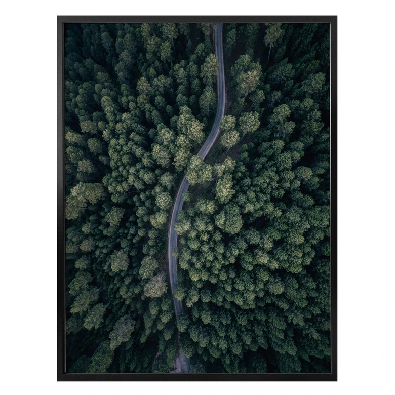 Póster López - La vista desde arriba: Carretera en el bosque 