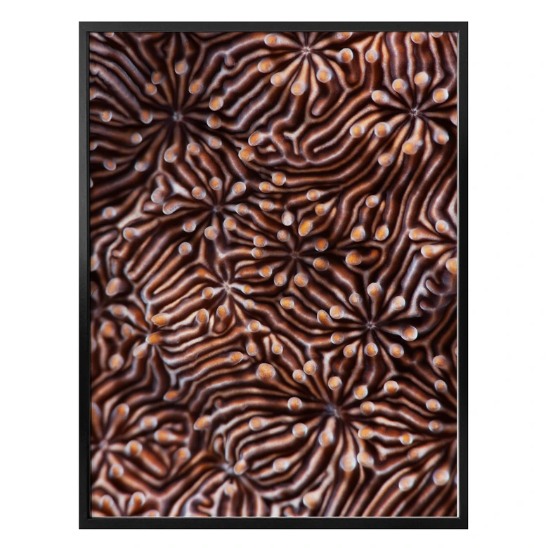Poster Narchuk - Hypnotic Maze 