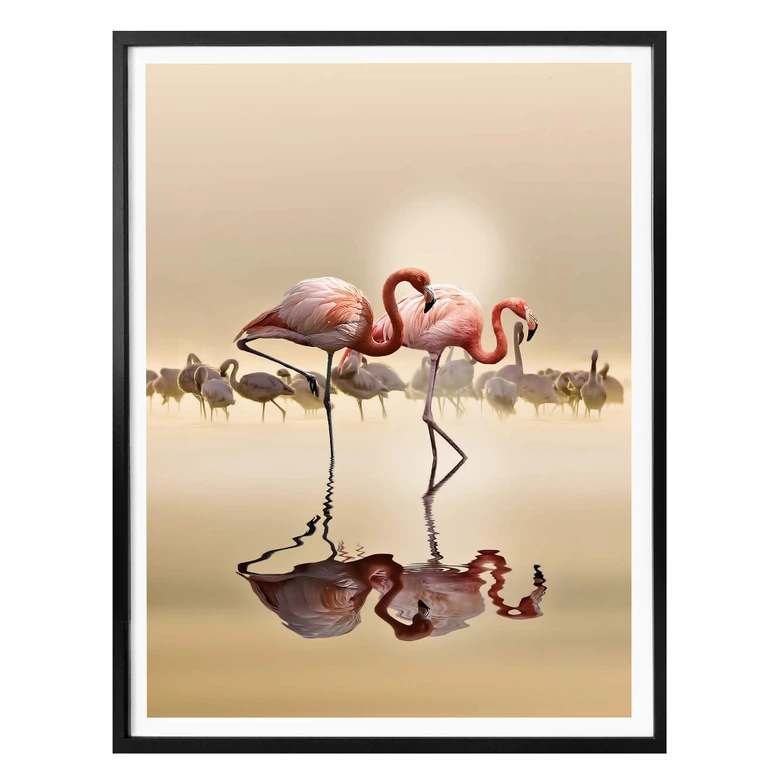 Poster Osman - Flamingo 