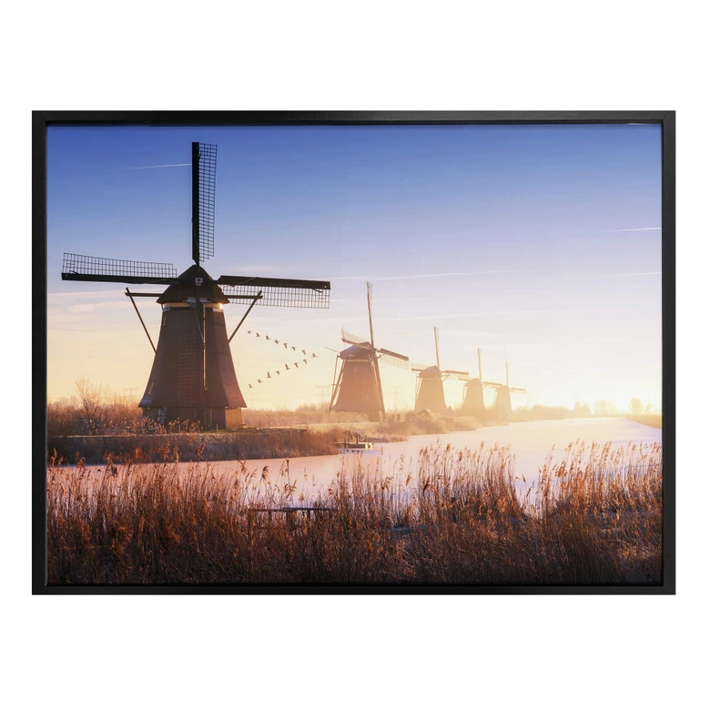 Poster Pablo - Kinderdijk 4 