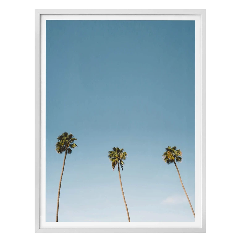 Poster Palm Trees 02 