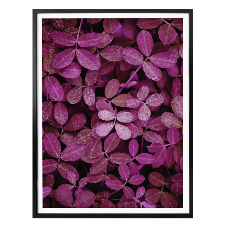 Poster Pink Leaves 