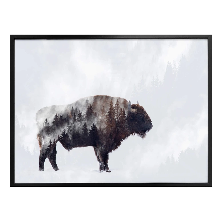 Poster Beáta - Der Bison 
