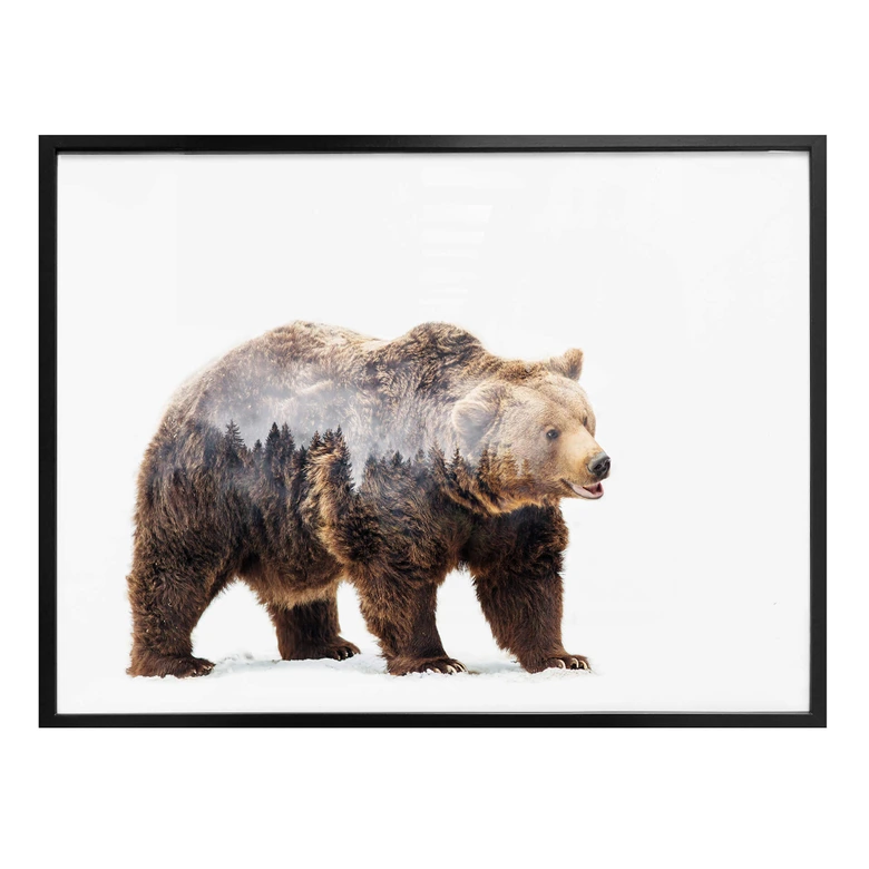 Poster Beáta - Der Bär 