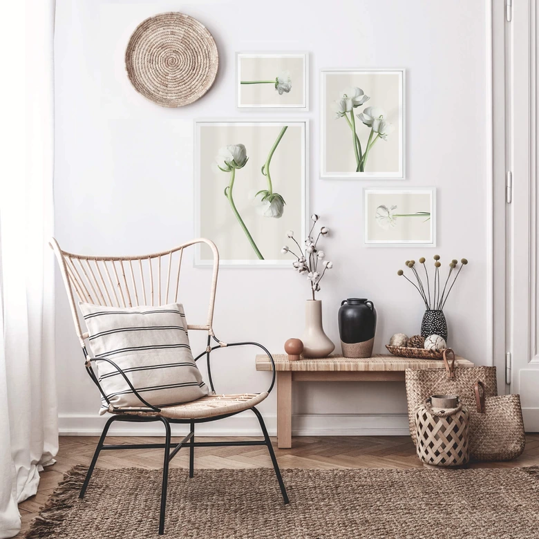 Assortiment affiches avec cadres - Renoncules 