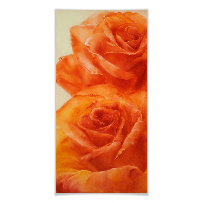 Poster Schmucker - Rosen 