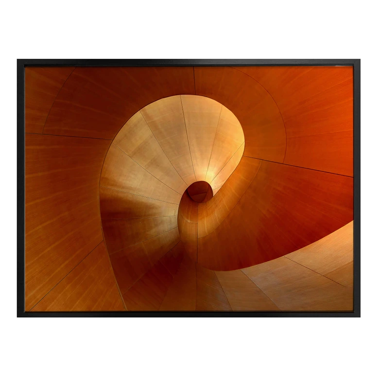 Poster Shainidze - The Curve 
