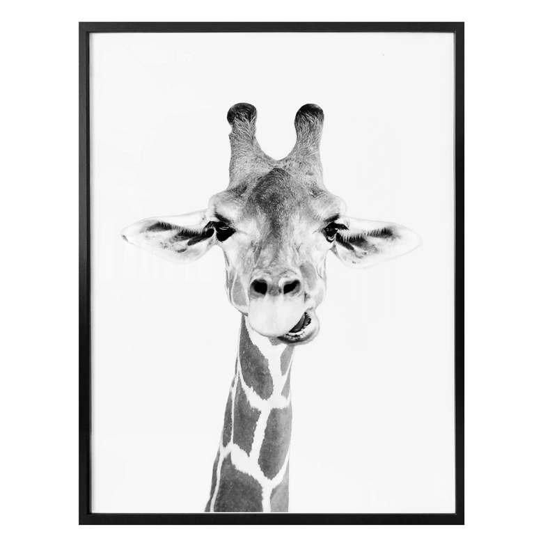 Poster Sisi & Seb - Happy Giraffe 