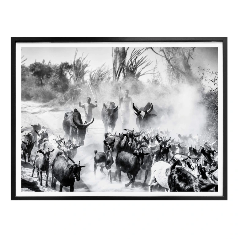 Poster Tagliarino - Ziegenherde in Afrika 
