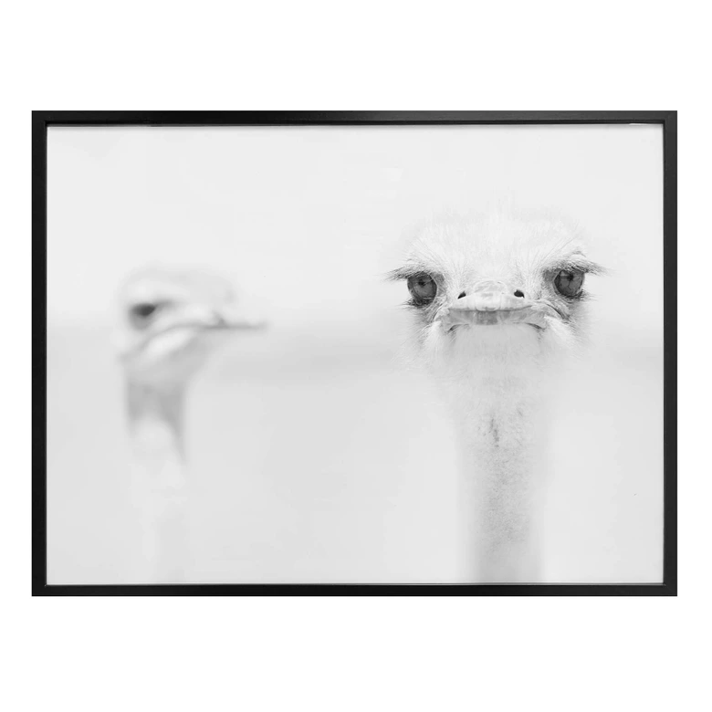 Poster Tonti - Augenblick 