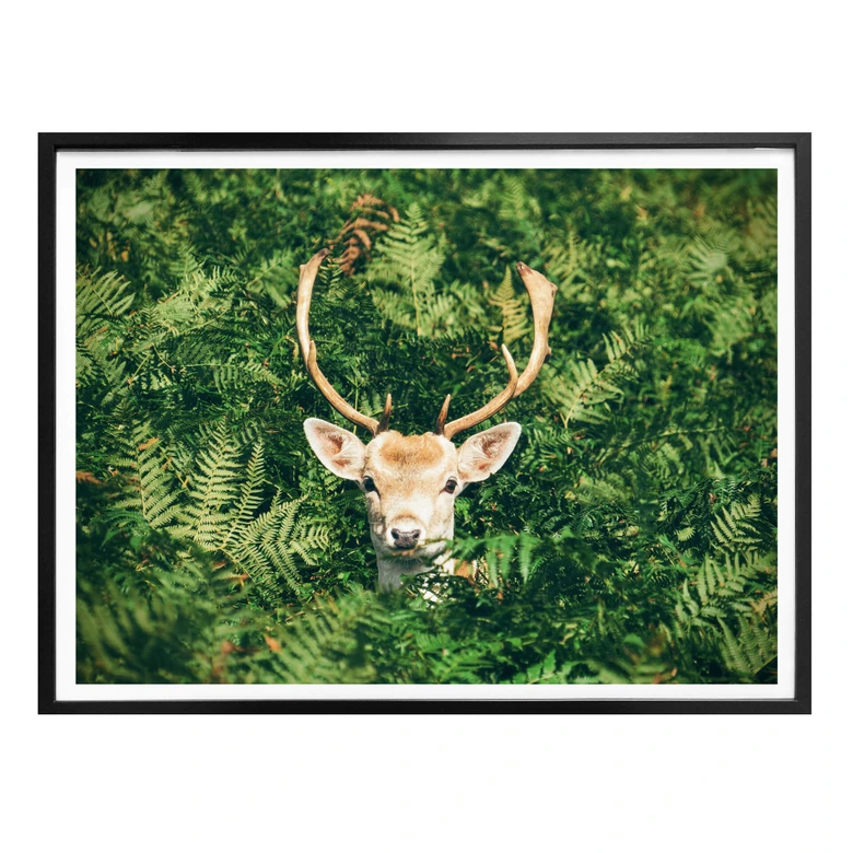 Poster Versteckspiel im Wald 