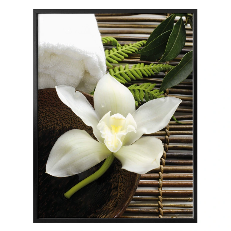 Poster Wellness Orchidee 