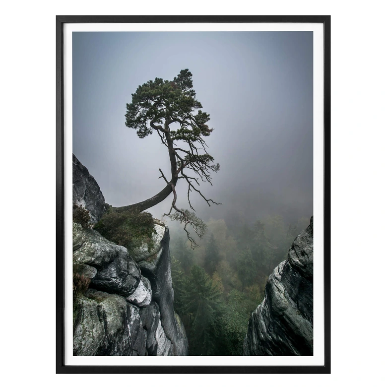 Poster Wonisch - Kräfte der Natur 