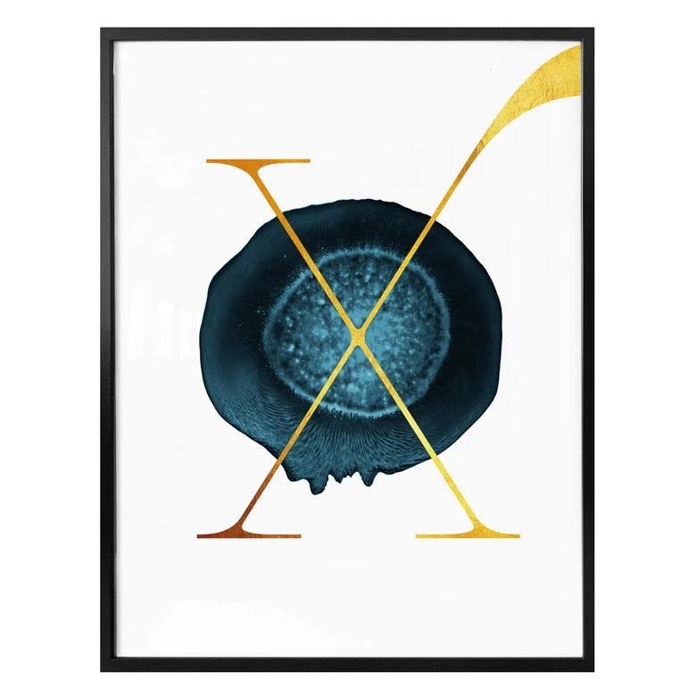 Poster - Das goldene X 