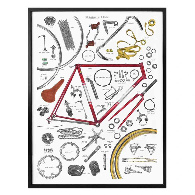 Poster Sparshott - Les composantes d'une bicyclette 
