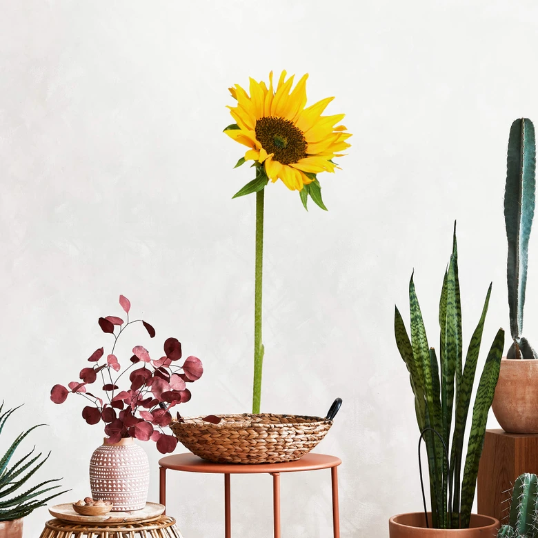 Wandtattoo Sonnenblume einzeln 