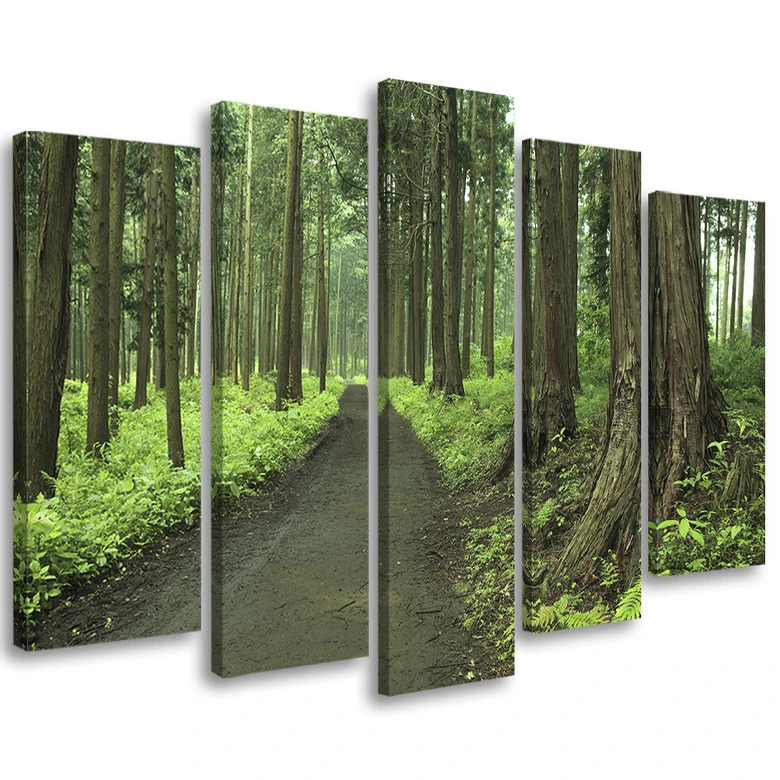 Leinwandbild 5 teilig, Wald Straße Bäume Natur 