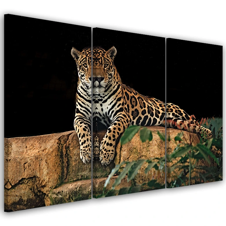 Leinwandbild 3-teilig, Leopard Panther Katze Tier 