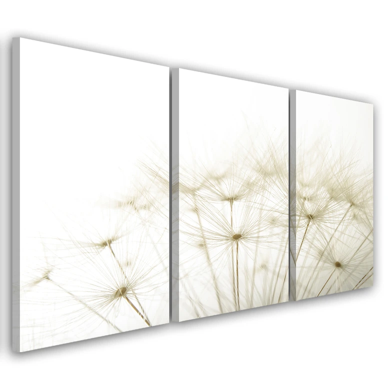 Leinwandbild 3-teilig, Gebläse Blumen Natur 