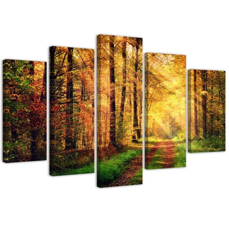 Leinwandbild 5 teilig, Wald Herbst 