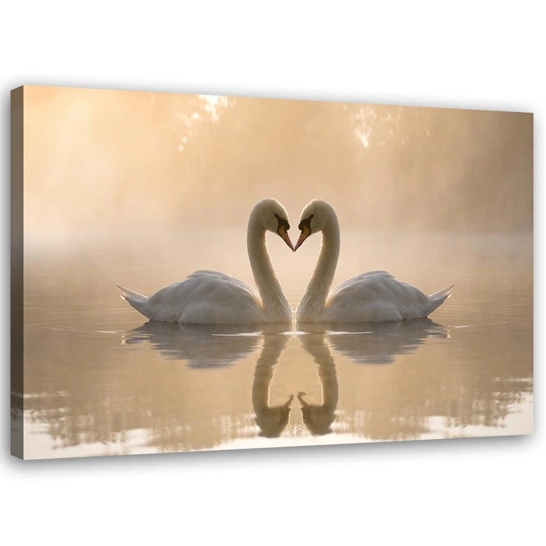 Canvasbillede, Svaner på en dam 